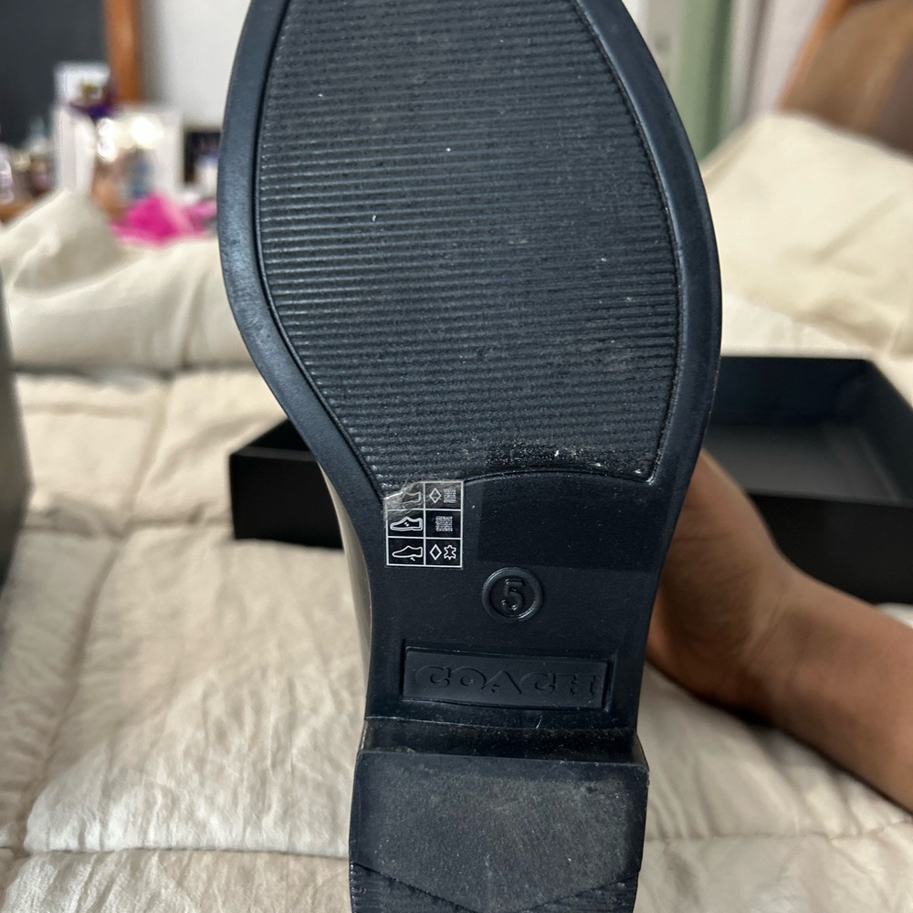 Coach shoes